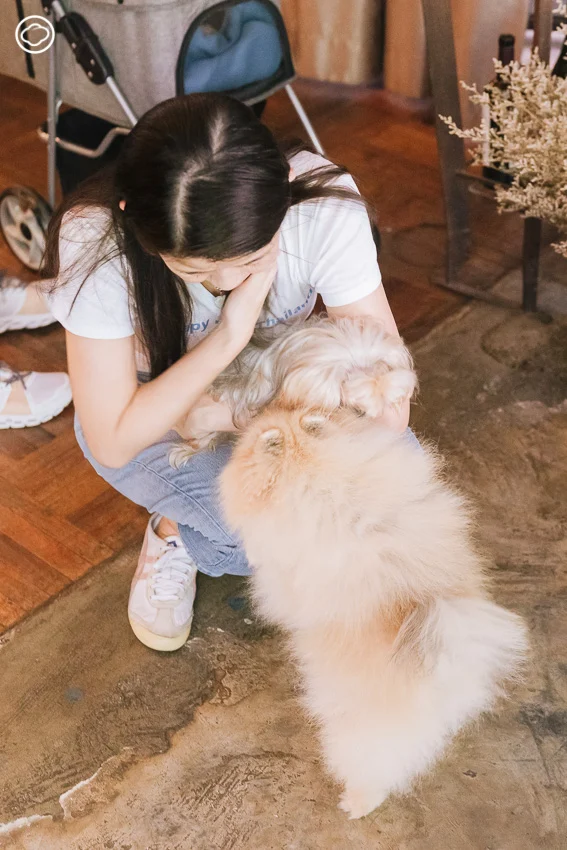 Therapy Dog Thailand หลักสูตรสุนัขบำบัดที่ฝึกทั้งคนและหมาให้เยียวยากันและกัน