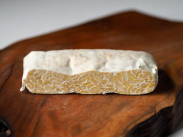 สูตรทำเทมเป้ (Tempeh) ถั่วเหลืองหมักที่โปรตีนสูงกว่าเต้าหู้และแม้จะแพ้ถั่วเหลืองก็ทานได้, วิธีทำเทมเป้