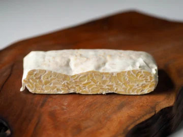 สูตรทำเทมเป้ (Tempeh) ถั่วเหลืองหมักที่โปรตีนสูงกว่าเต้าหู้และแม้จะแพ้ถั่วเหลืองก็ทานได้, วิธีทำเทมเป้