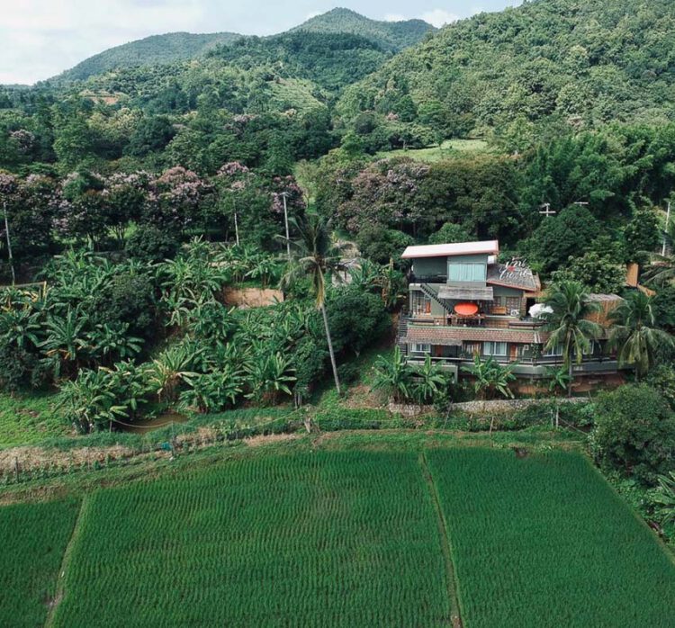 เป๊ก-นิว คู่รักที่ลงมือดำและทำร้านอาหารในทุ่งนาสองสีเพื่อส่งเสริมการเรียนรู้เรื่องข้าว