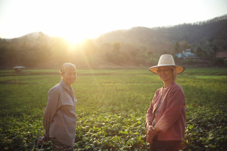 เป๊ก-นิว คู่รักที่ลงมือดำและทำร้านอาหารในทุ่งนาสองสีเพื่อส่งเสริมการเรียนรู้เรื่องข้าว
