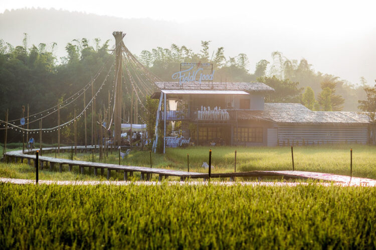 เป๊ก-นิว คู่รักที่ลงมือดำและทำร้านอาหารในทุ่งนาสองสีเพื่อส่งเสริมการเรียนรู้เรื่องข้าว