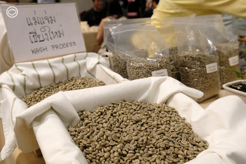 10 กิจกรรมใน Thailand Coffee Fest 2020 ที่จะทำให้คุณสนุกกับการดื่มกาแฟมากขึ้น