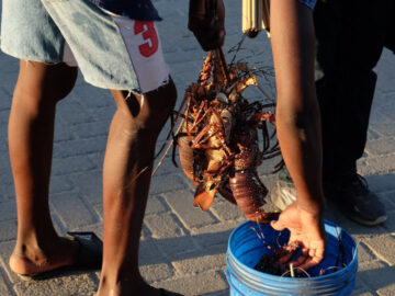 กุ้งหอยปูปลา ทรัพยากรทางทะเลโมซัมบิกที่คนโมซัมบิกไม่ได้กิน แต่เราได้กิน