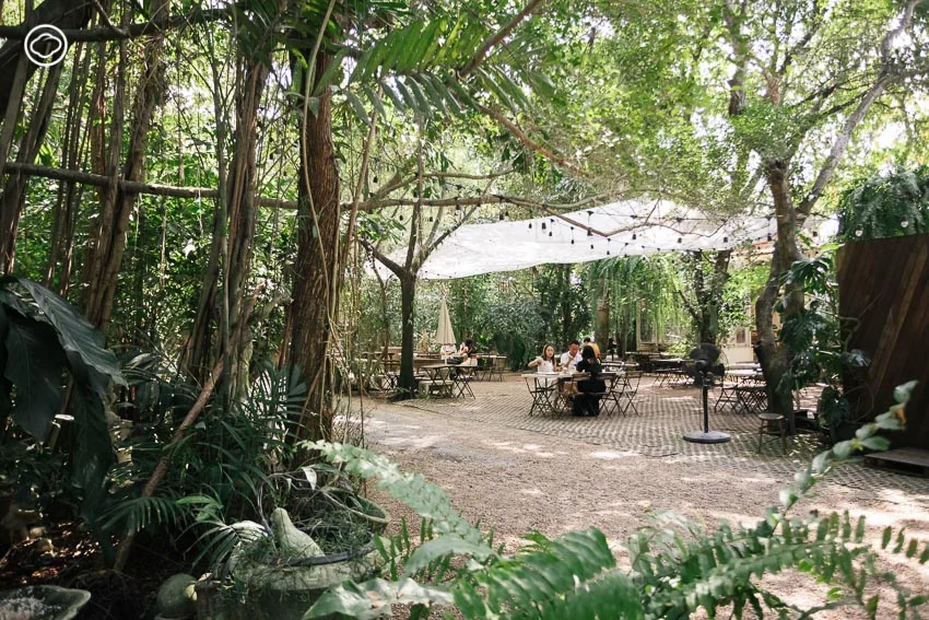ทายาทชาวสวนรุ่น 4 ผู้เปลี่ยนสวนเก่าให้เป็น Little Tree Garden และ Whispering Cafe