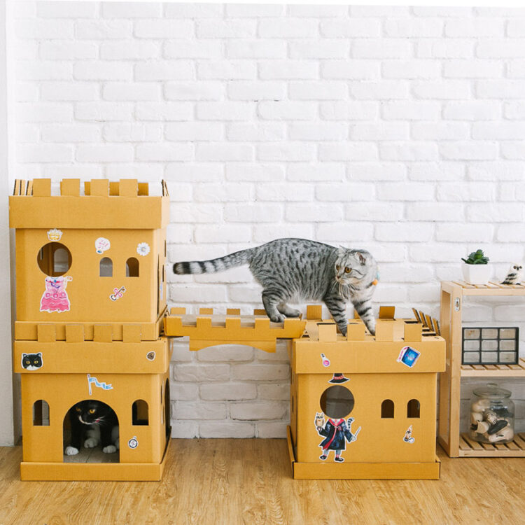 Kafbo : บ้านหมา-แมว และสารพัดของเล่นจากกระดาษลูกฟูกรีไซเคิล