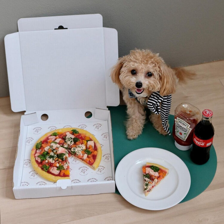 Doglicious ; เมนูอาหารของเพื่อนมนุษย์ที่ปรุงให้อร่อยปลอดภัยเพื่อสัตว์เลี้ยง
