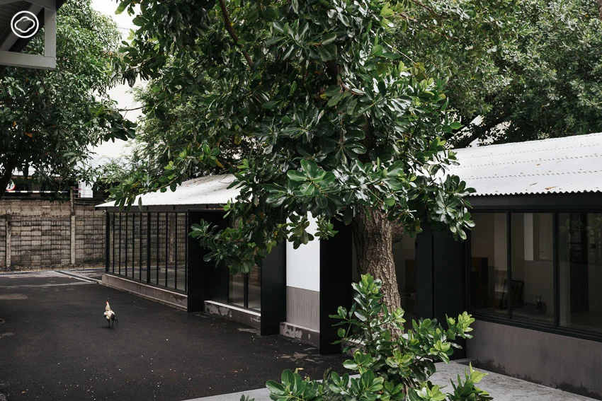 ปัดฝุ่นบ้านร้างชวนขวัญผวาเป็น Factopia Hamlet แกเลอรี-ออฟฟิศให้เช่ากลางสวน 4 ไร่