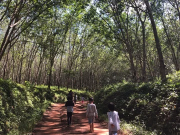บันทึกครูอาสาที่ Wonder Valley โรงเรียนทางเลือกในหุบเขา โอบล้อมด้วยป่ายางหาดใหญ่