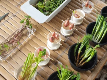 How To สั่งอาหารเดลิเวอรี่ยังไงให้ได้แปลงผักไว้ปลูกกินต่อ