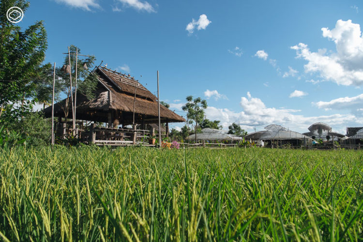 พักก๋าย พักใจ๋ กับ 10 กิจการในเจียงฮาย เมืองเหนือสุดแดนสยามที่น่าฮักไม่เป็นรองใคร