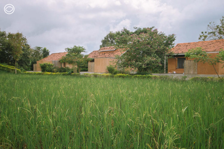 Coolliving Farmhouse : กินนอนปลอดภัยใกล้ธรรมชาติ ในฟาร์มสเตย์ออร์แกนิก อ.วังน้ำเขียว