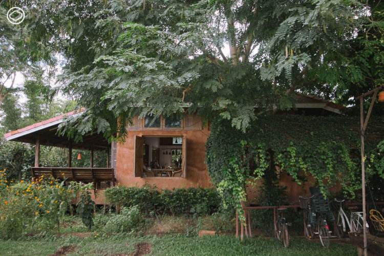 Coolliving Farmhouse : กินนอนปลอดภัยใกล้ธรรมชาติ ในฟาร์มสเตย์ออร์แกนิก อ.วังน้ำเขียว