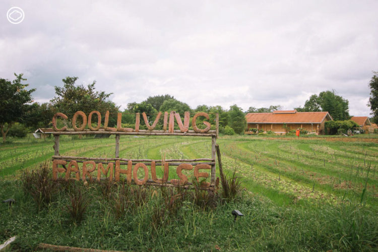 Coolliving Farmhouse : กินนอนปลอดภัยใกล้ธรรมชาติ ในฟาร์มสเตย์ออร์แกนิก อ.วังน้ำเขียว