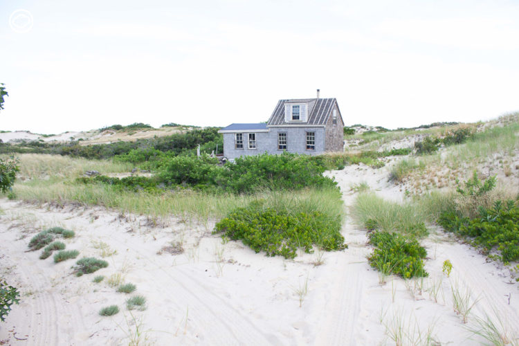 ตามภูมิสถาปนิกไทยไปใช้ชีวิตเป็น Artist Residency ที่กระท่อมใน Provincetown อเมริกา