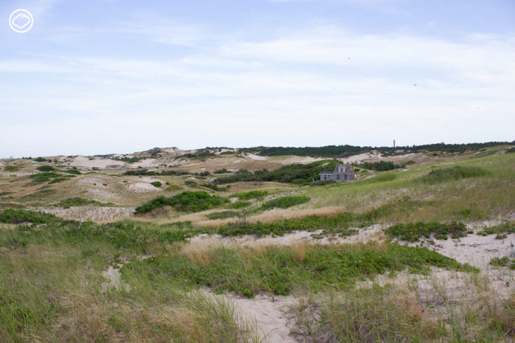 ตามภูมิสถาปนิกไทยไปใช้ชีวิตเป็น Artist Residency ที่กระท่อมใน Provincetown อเมริกา