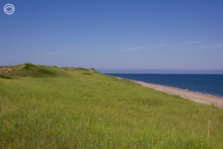 ตามภูมิสถาปนิกไทยไปใช้ชีวิตเป็น Artist Residency ที่กระท่อมใน Provincetown อเมริกา