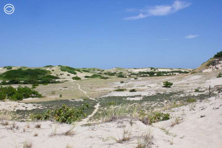 ตามภูมิสถาปนิกไทยไปใช้ชีวิตเป็น Artist Residency ที่กระท่อมใน Provincetown อเมริกา