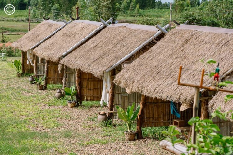 12 ที่พักทั่วไทยที่น่านอนเอนกาย ตั้งแต่ที่พักหนอนหนังสือ จนถึงฟาร์มสเตย์วิถีท้องถิ่น