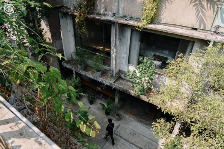 GalileOasis : Art Space โอเอซิสกลางเมือง คืนความสดชื่นให้ผู้คน-ชุมชนย่านบรรทัดทอง