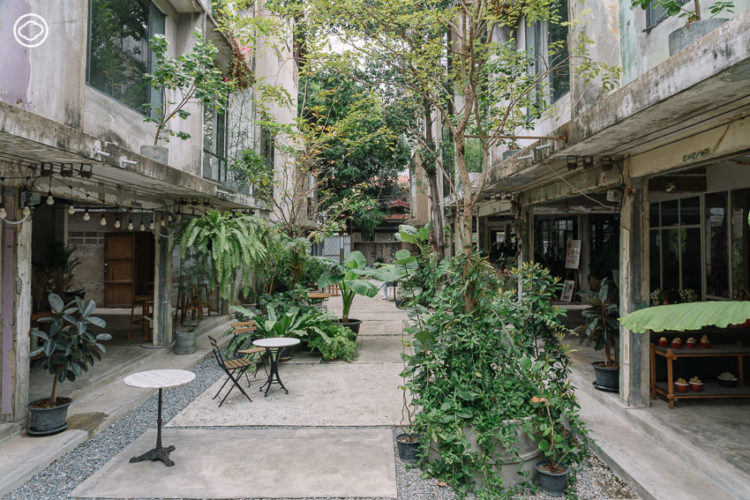GalileOasis : Art Space โอเอซิสกลางเมือง คืนความสดชื่นให้ผู้คน-ชุมชนย่านบรรทัดทอง