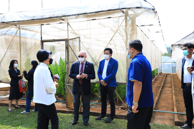 การเดินทางสู่ความสำเร็จของเมล็ดพันธุ์ควินัว ความร่วมมือไทย-ชิลี ที่ถูกส่งต่อเป็นเกษตรทางเลือกและอาหารเพื่อสุขภาพ