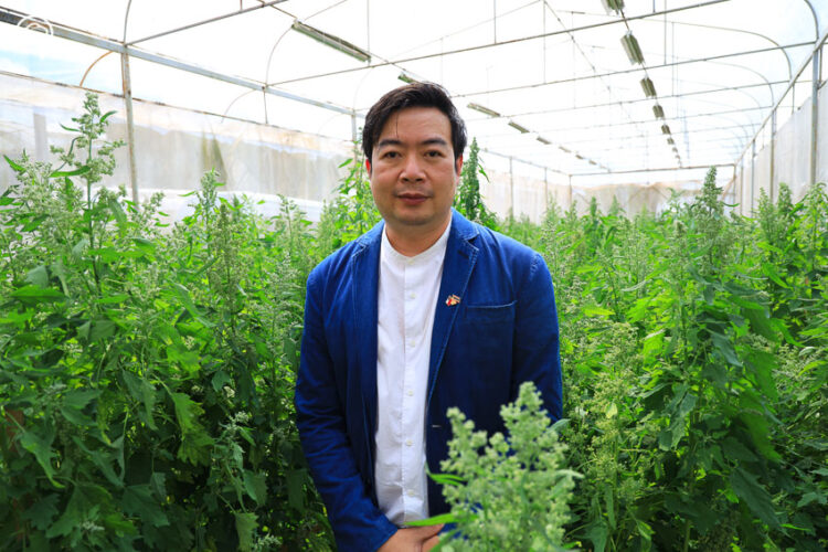 ความร่วมมือไทย-ชิลี ผ่านฟาร์มควินัว Super Food จากชิลีที่พัฒนาจนได้สายพันธุ์ของตัวเอง