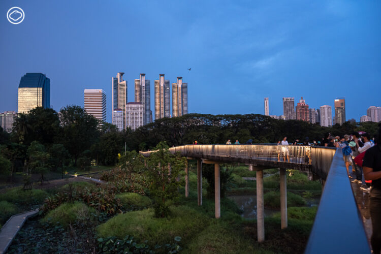 บันทึก Earth Appreciation 05 : Learning in The Park เดินตามสถาปนิกและนักนิเวศวิทยาไปฟังเบื้องหลังการออกแบบสวน