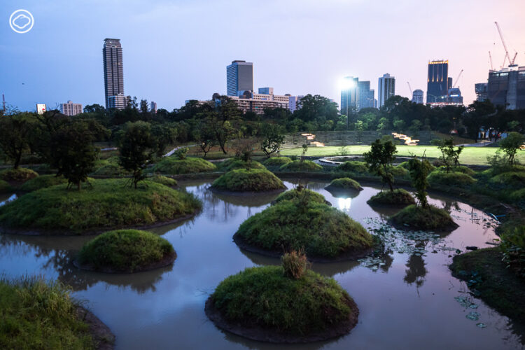บันทึก Earth Appreciation 05 : Learning in The Park เดินตามสถาปนิกและนักนิเวศวิทยาไปฟังเบื้องหลังการออกแบบสวน