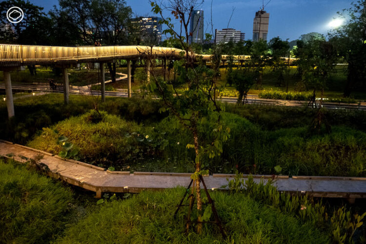 บันทึก Earth Appreciation 05 : Learning in The Park เดินตามสถาปนิกและนักนิเวศวิทยาไปฟังเบื้องหลังการออกแบบสวน