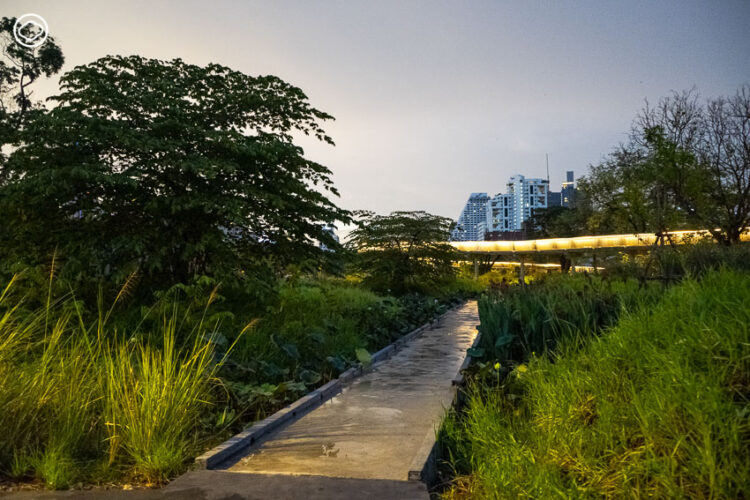 บันทึก Earth Appreciation 05 : Learning in The Park เดินตามสถาปนิกและนักนิเวศวิทยาไปฟังเบื้องหลังการออกแบบสวน