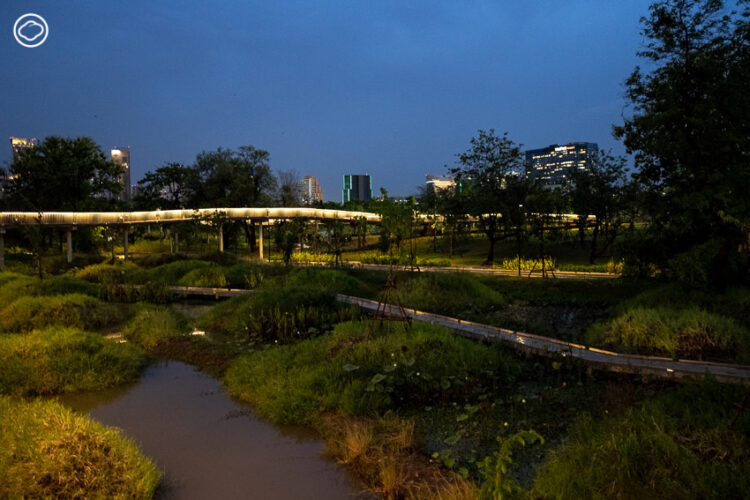 บันทึก Earth Appreciation 05 : Learning in The Park เดินตามสถาปนิกและนักนิเวศวิทยาไปฟังเบื้องหลังการออกแบบสวน