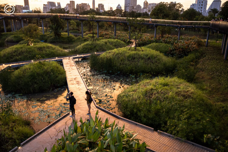 บันทึก Earth Appreciation 05 : Learning in The Park เดินตามสถาปนิกและนักนิเวศวิทยาไปฟังเบื้องหลังการออกแบบสวน