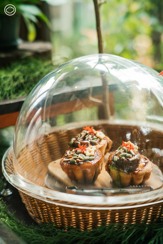 Forest Bake คาเฟ่ขนมอบในพื้นที่บ้านอายุมากกว่า 200 ปีที่เป็นออฟฟิศบริษัทป่าไม้ จ.เชียงใหม่