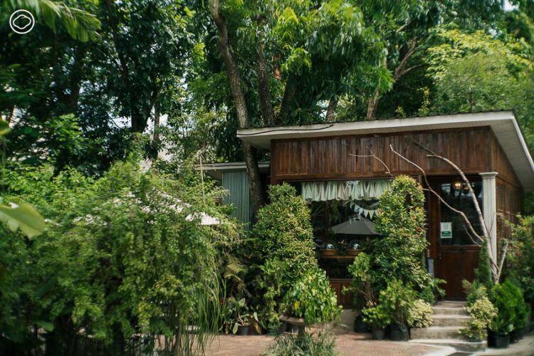 Forest Bake คาเฟ่ขนมอบในพื้นที่บ้านอายุมากกว่า 200 ปีที่เป็นออฟฟิศบริษัทป่าไม้ จ.เชียงใหม่
