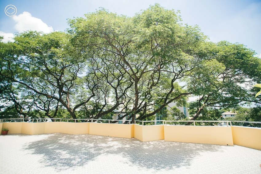 10 ที่พักจังหวัดเชียงใหม่ คุ้มค่า นอนสบาย ตั้งใจเป็นมิตรกับสิ่งแวดล้อมและโลก