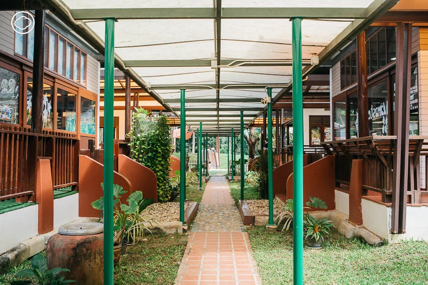 Kidz Village International School หมู่บ้านอนุบาลที่เชื่อว่าธรรมชาติมอบทักษะชีวิตให้เด็กได้