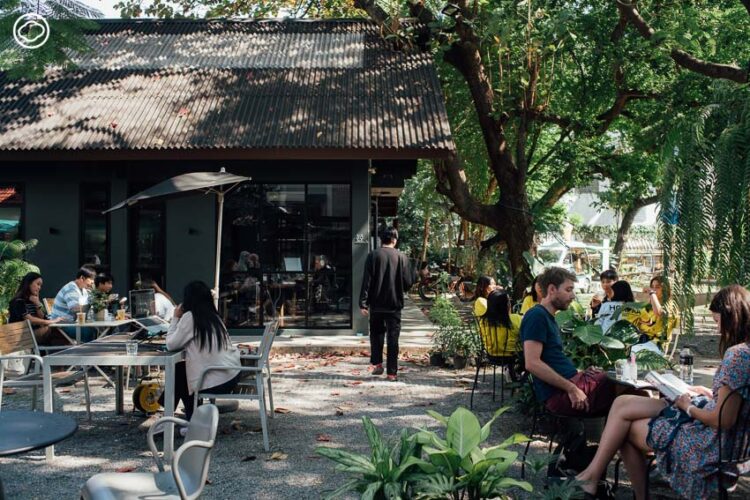 เมื่อ Digital Nomad ครองเชียงใหม่ แล้วอะไรคือโอกาส-ความท้าทายในการพัฒนาเมือง