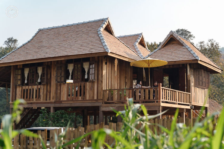 จากไร่ชาป่าส่งออกในรัฐฉาน สู่ร้านอาหารเชียงตุงและบาร์ชา Sangkaew tea.food local culture จังหวัดเชียงราย