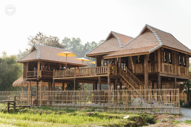 Sangkaew ร้านอาหารเชียงตุงรสมือแม่ มีบาร์เสิร์ฟชาจากต้นชา 500 ปี ในเรือนไม้กลางนา จ.เชียงราย