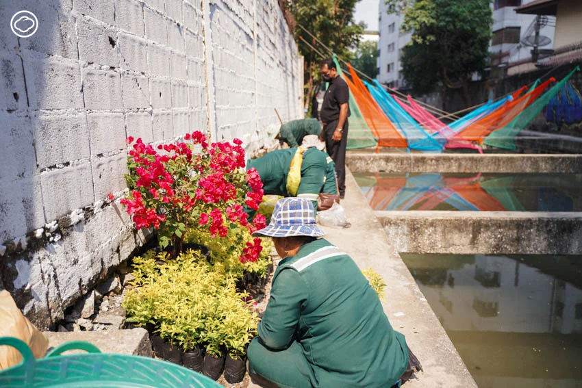 คุยกับ ยศพล บุญสม แห่ง we!park ถึงโปรเจกต์ Green Hacker ปรับปรุงพื้นที่สาธารณะในกรุง เนื่องใน BKKDW2023