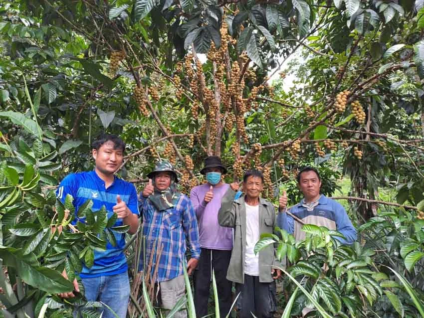 หัวใจของ Lemon Farm ผู้บุกเบิกอาหารออร์แกนิก เล่าโดยลูกที่เห็นแม่ทำงานหนักตลอด 25 ปี