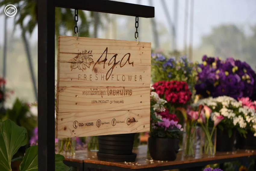 AGA AGRO ธุรกิจไม้ดอกในเชียงใหม่ที่ดังทั่วอาเซียน จนบริษัทดอกไม้อันดับหนึ่งของโลกขอลงทุนด้วย