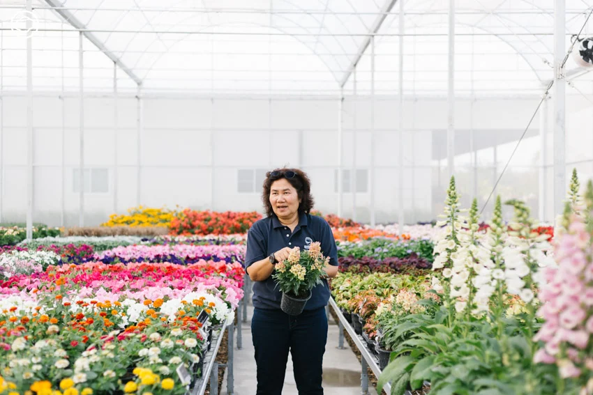 AGA AGRO ธุรกิจไม้ดอกในเชียงใหม่ที่ดังทั่วอาเซียน จนบริษัทดอกไม้อันดับหนึ่งของโลกขอลงทุนด้วย