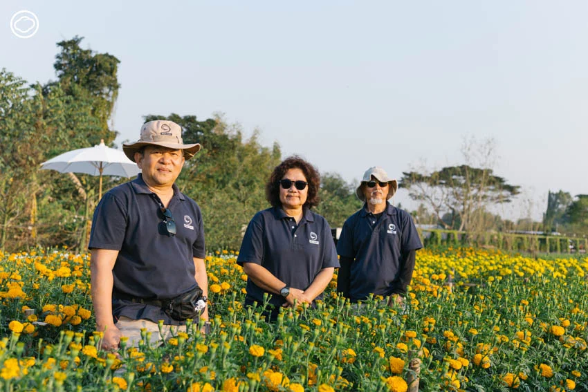 AGA AGRO ธุรกิจไม้ดอกในเชียงใหม่ที่ดังทั่วอาเซียน จนบริษัทดอกไม้อันดับหนึ่งของโลกขอลงทุนด้วย