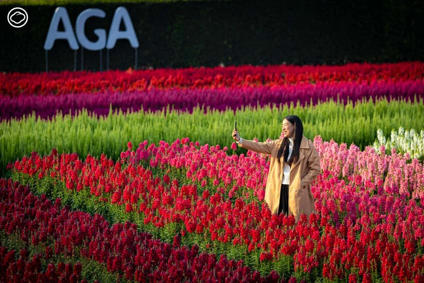 AGA AGRO ธุรกิจไม้ดอกในเชียงใหม่ที่ดังทั่วอาเซียน จนบริษัทดอกไม้อันดับหนึ่งของโลกขอลงทุนด้วย