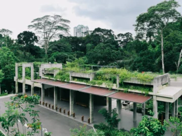 Rifle Range Nature Park จากเหมืองเก่าสู่สวนใหม่ในสิงคโปร์ที่คน-พื้นที่สีเขียวได้อยู่ด้วยกัน