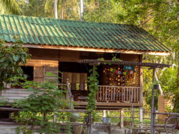 บ้านนุ้ย บ้านไม้ 20 ปีในสวนมะพร้าวบนเกาะพะงัน ที่อยากให้แขกมาพักแล้วเหมือนได้หลบบ้าน