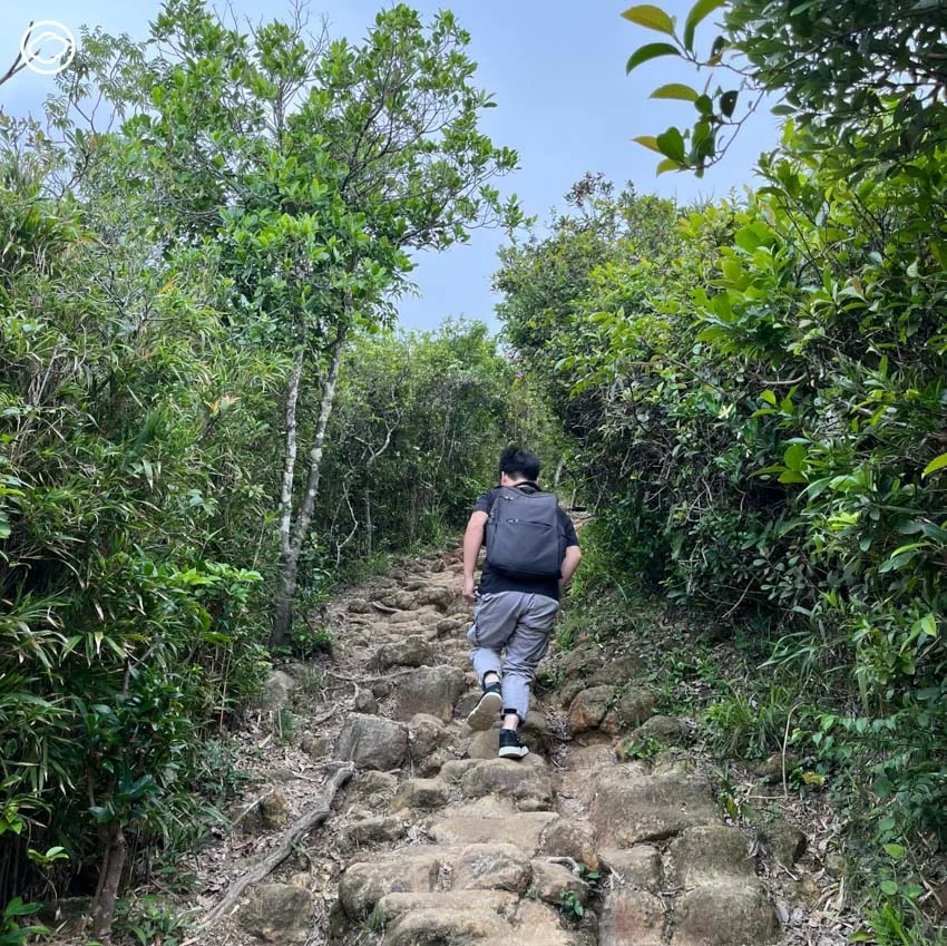 ภารกิจไต่เขาหลงทางบนหลังมังกร พิชิต Dragon’s Back เส้นทางเดินป่าในฮ่องกงกับชายแปลกหน้า