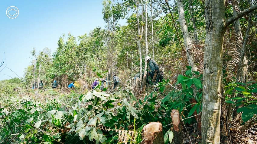 ทินภัทร ภัทรเกียรติทวี กับ โพควา โปรดักชั่น สื่อชาติพันธุ์รุ่นใหม่รางวัลลูกโลกสีเขียวที่สร้างความเข้าใจวิถีชาวเขา